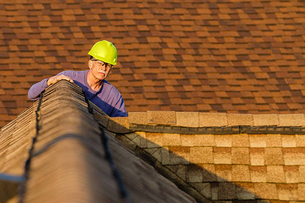 Best Slate Roofing Contractor  in Black Diamond, FL